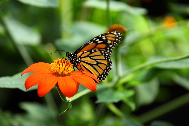 Still More...