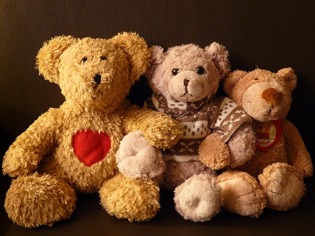 Finding Mr Huggie-Wuggie: Welcome to the Friendzone! Teddies