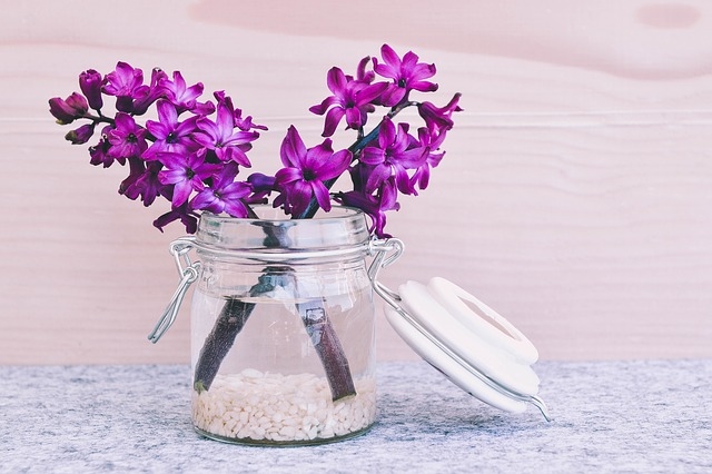 hyacinth