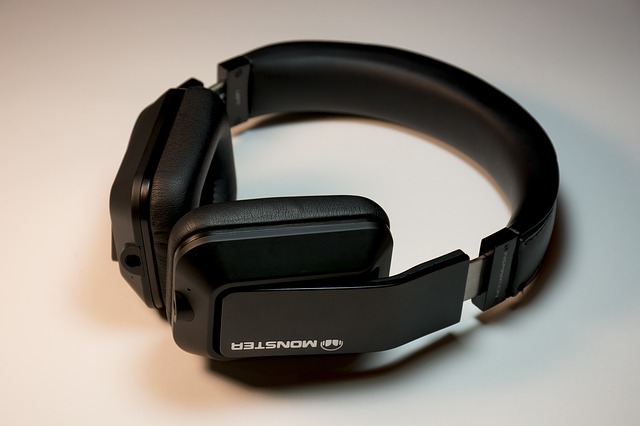 A pair of headphones