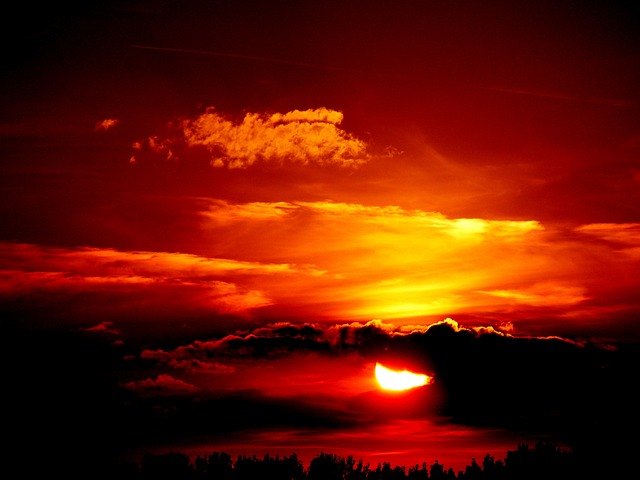 Aromatic Sunset