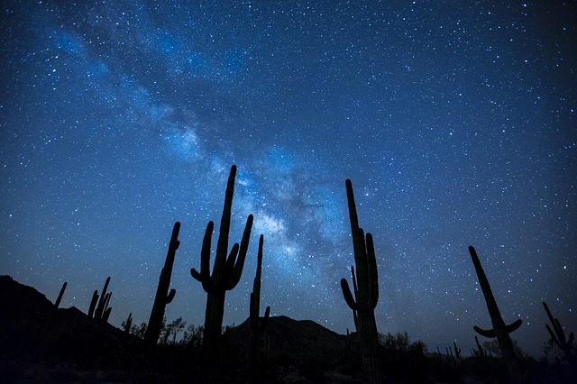 Starry Sky