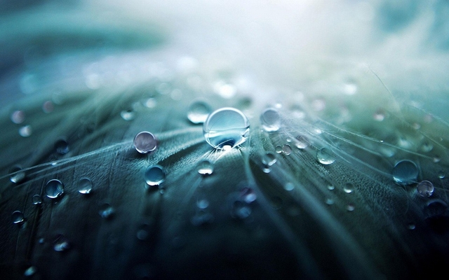Tiny water droplets