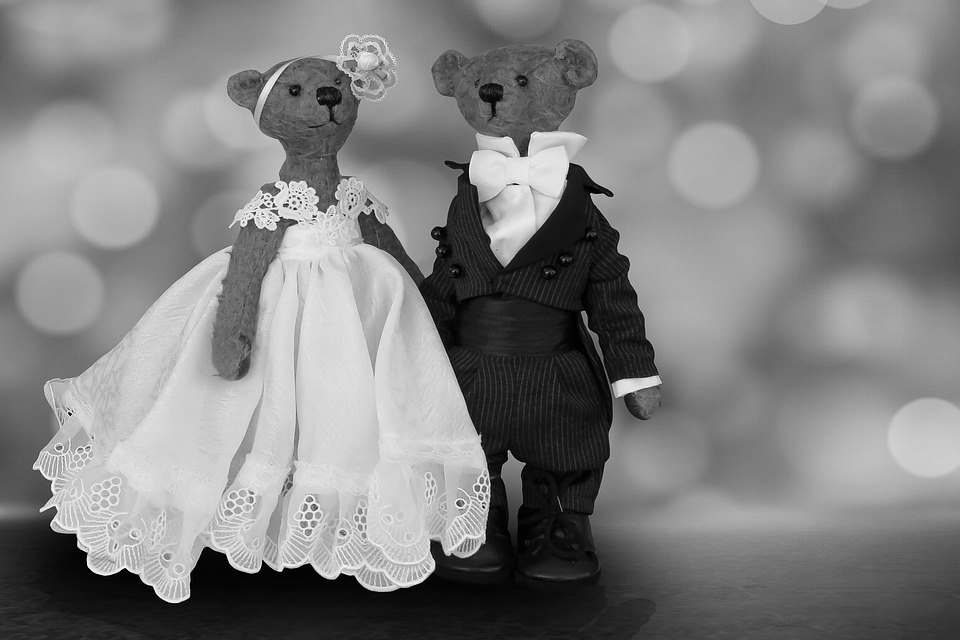 Black and White Teddies