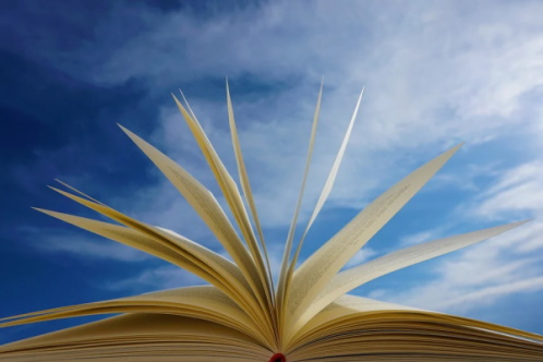 Open Book