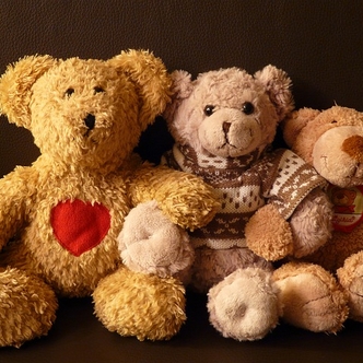 Finding Mr Huggie-Wuggie: Welcome to the Friendzone! Teddies