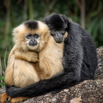 Finding Mr Huggie-Wuggie: People who have changed my life: My husband