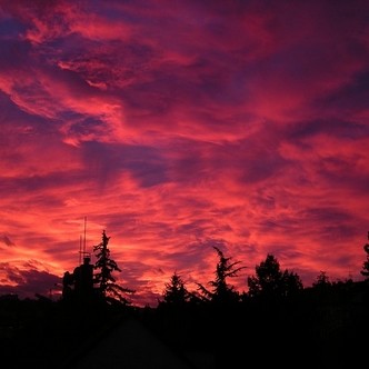 Finding Mr Huggie-Wuggie: Anatomy of a Marriage made in Heaven: Sunset