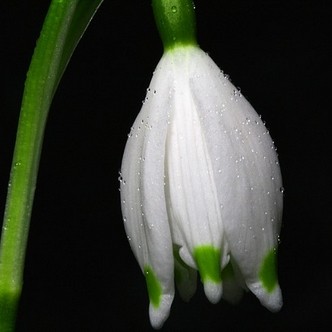 Finding Mr Huggie-Wuggie: External Resource: Dirty Girl Ministries