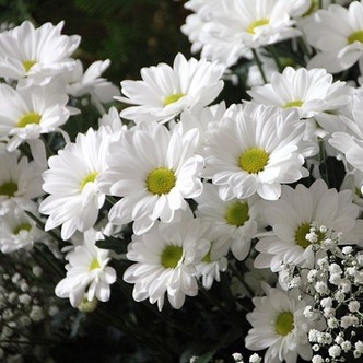 Finding Mr Huggie-Wuggie - Sexual Purity - Homosexuality