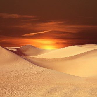 Sunset in the Sahara