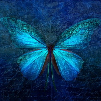 Turquoise Butterfly
